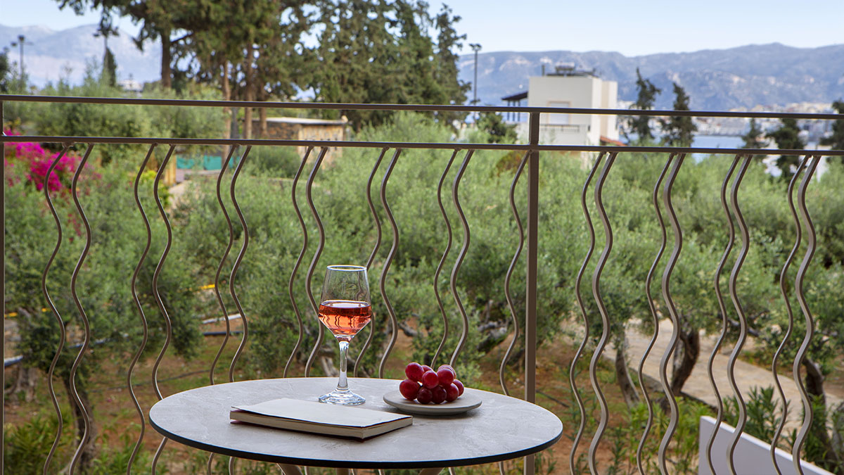 Deluxe Room Garden View